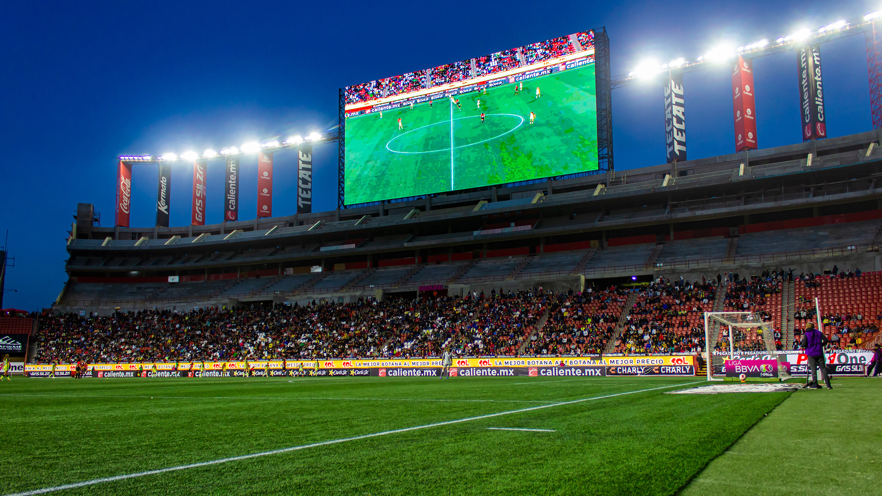 La jauría iniciará su pretemporada en los próximos días en la ciudad de Tijuana.