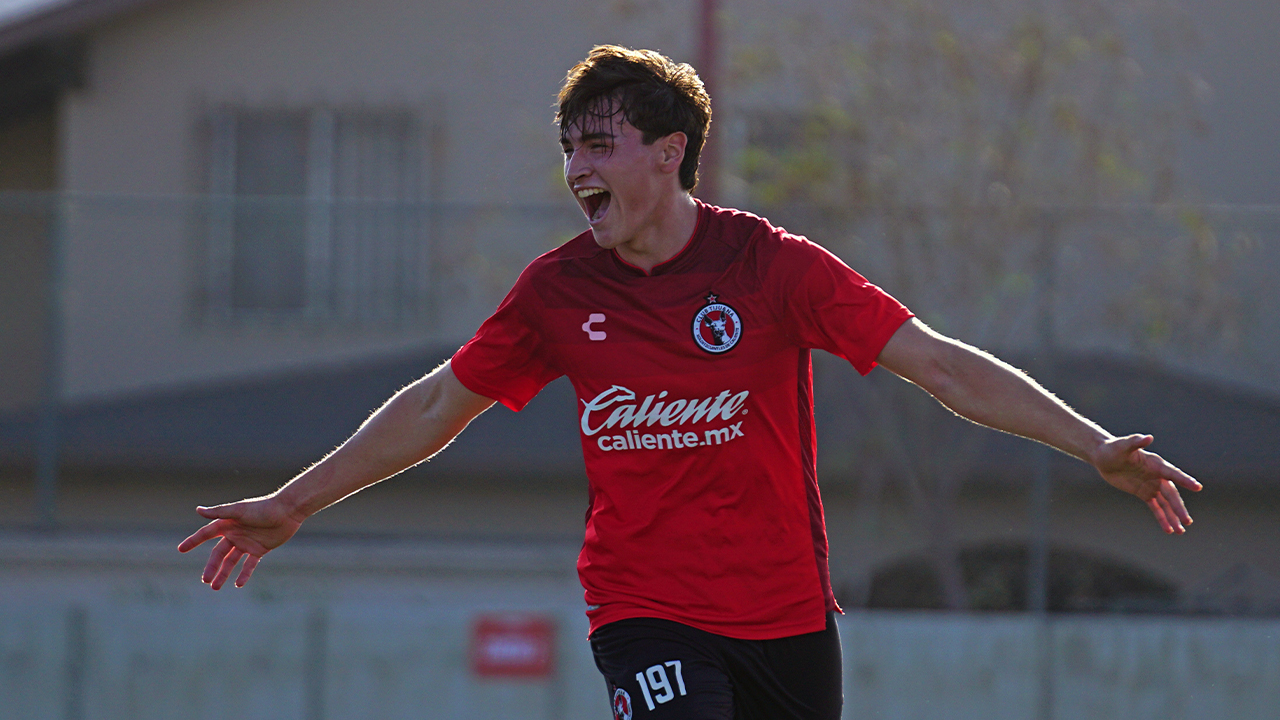 Las inferiores caninas se midieron a su similar de los esmeraldas.