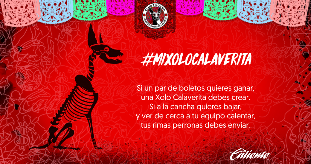 ¿Quieres acompañarnos al partido vs León y presenciar el calentamiento desde la cancha?