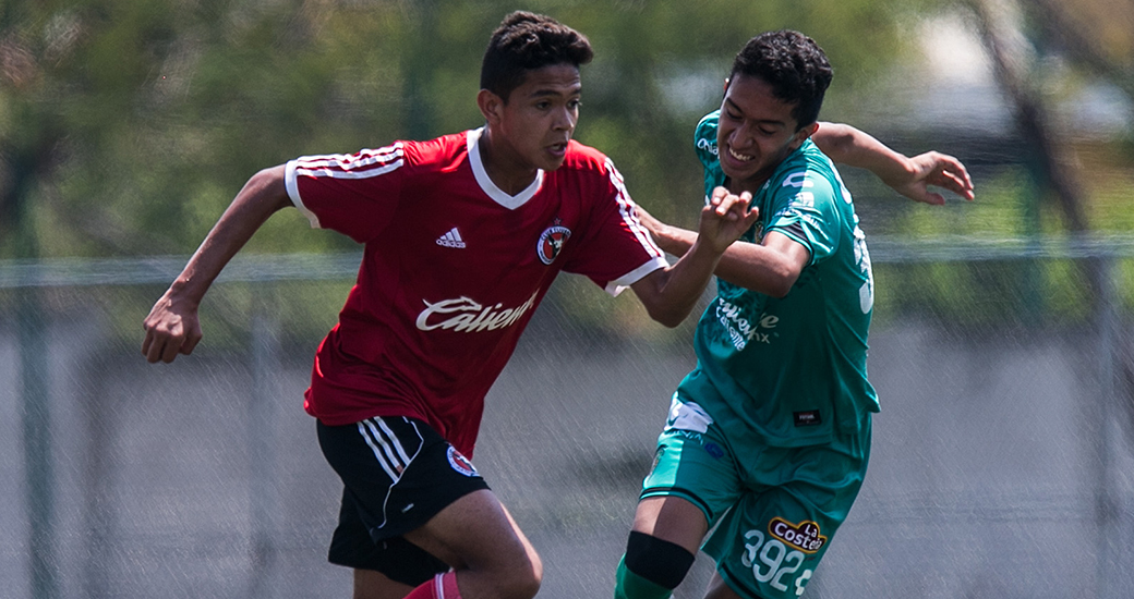 DOBLE TROPIEZO EN CHIAPAS PARA XOLOITZCUINTLES JUVENILES