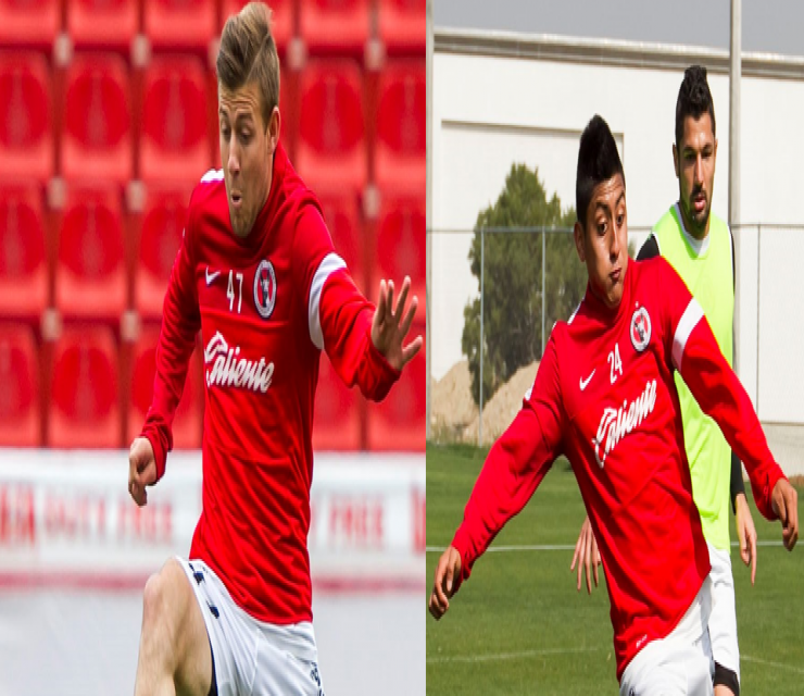 INTERNATONAL XOLOITZCUINTLES  