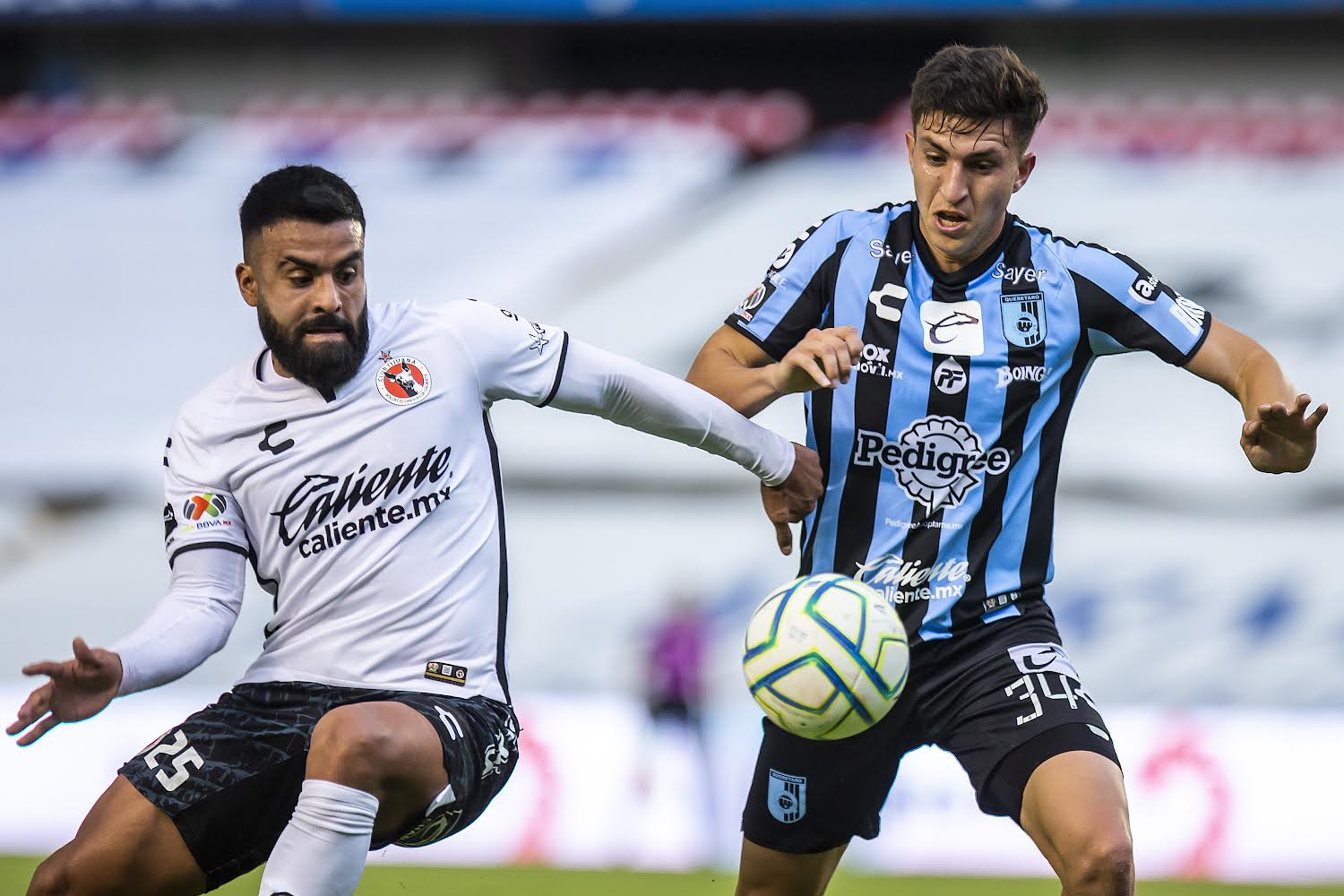 Los canes aztecas visitaron a los gallos blancos en la jornada 10.