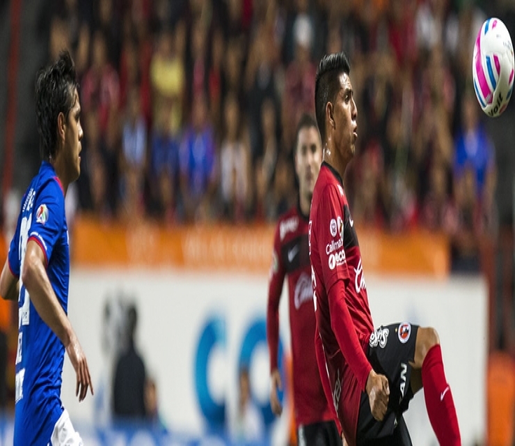 XOLOITZCUINTLES TIE AT HOME