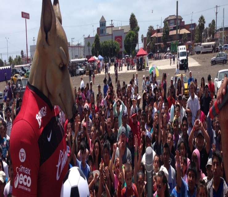 XOLOITZCUINTLES FOR LIFE